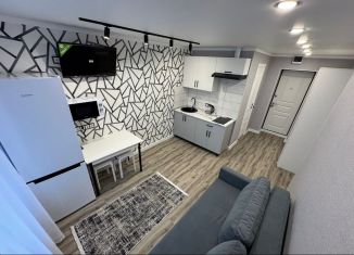 Продажа квартиры студии, 18 м2, Татарстан, Авангардная улица, 91