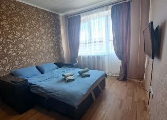 Сдается в аренду 1-комнатная квартира, 35 м2, Татарстан, улица Рихарда Зорге, 88