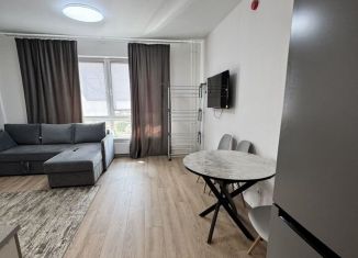 Сдается в аренду квартира студия, 25 м2, Котельники, микрорайон Парковый, 14