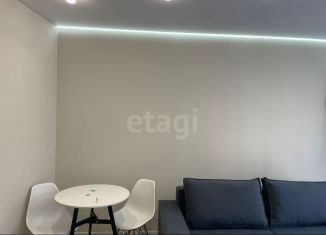 Сдам квартиру студию, 28 м2, Татарстан, улица Габдуллы Тукая, 90