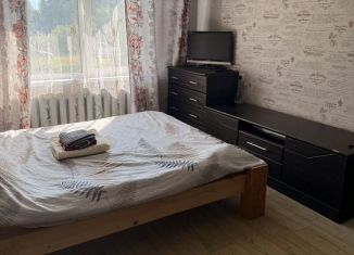 Сдается в аренду однокомнатная квартира, 30 м2, Карелия, улица Бондарева, 13