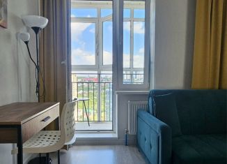 Сдаю в аренду квартиру студию, 24 м2, Республика Башкортостан, улица Ленина, 162/1