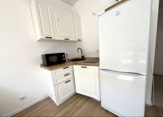 Квартира в аренду студия, 19 м2, Котельники, микрорайон Парковый, 1к2