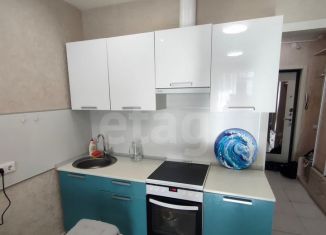 Продаю квартиру студию, 28.5 м2, посёлок Парголово, Заречная улица, 10, ЖК Прагма Сити