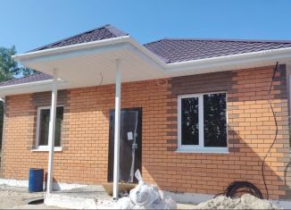 Продам дом, 100 м2, деревня Паренкина