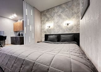 Сдача в аренду квартиры студии, 32 м2, Ростов-на-Дону, Привокзальная улица, 3/1