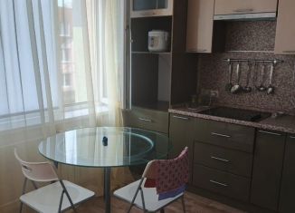 Сдаю квартиру студию, 24 м2, поселок городского типа Стройкерамика, улица Веры Ершовой, 13