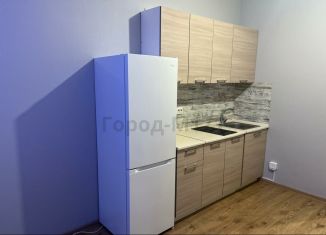 Продаю квартиру студию, 22.2 м2, посёлок Парголово, Толубеевский проезд, 8к2