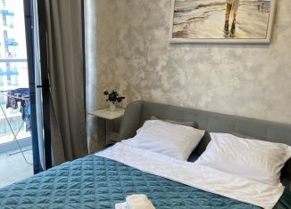 Сдам в аренду квартиру студию, 16 м2, Сочи, Ясногорская улица, 16/2к3, микрорайон Бытха