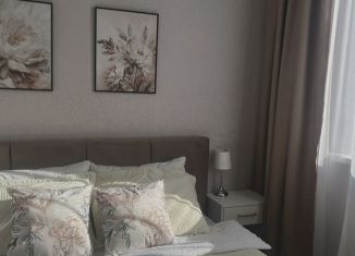 Аренда 1-ком. квартиры, 29 м2, Калининград, Флагманская улица