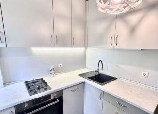 1-ком. квартира в аренду, 33 м2, Санкт-Петербург, улица Турку, 12к4