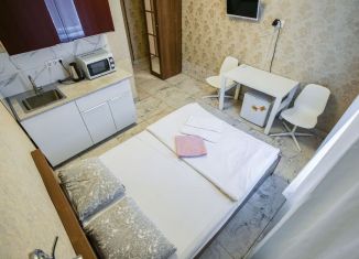 Сдам квартиру студию, 18 м2, Санкт-Петербург, Старо-Петергофский проспект, 26В