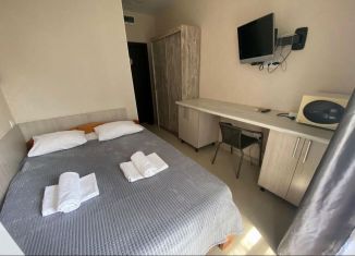 Сдается однокомнатная квартира, 12 м2, Сириус, переулок Кувшинок, 7/1