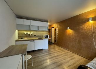 Продажа квартиры студии, 18.8 м2, Муром, Заводская улица, 10