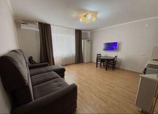 Продаю 1-ком. квартиру, 51.3 м2, Казань, улица Адоратского, 1