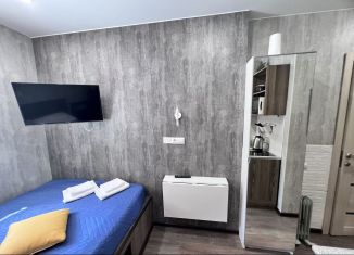 Продается квартира студия, 14.9 м2, Санкт-Петербург, улица Черняховского, 52