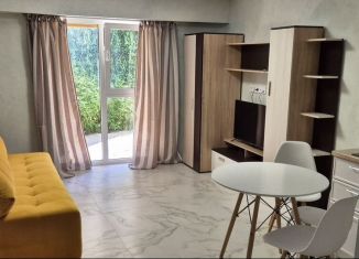 Продажа квартиры студии, 28 м2, Сочи, Крымская улица, 65Б