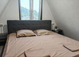 Сдаю в аренду дом, 36 м2, Сочи, микрорайон Якорная Щель, Череповецкая улица, 11