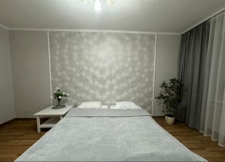 Сдам в аренду 1-ком. квартиру, 48.2 м2, Казань, Даурская улица, 24А