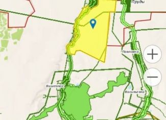 Продажа участка, 770 сот., село Зыбины, улица Ленина