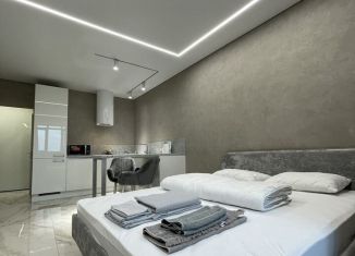 Сдается в аренду квартира студия, 28.4 м2, Республика Башкортостан, улица Асхата Мирзагитова