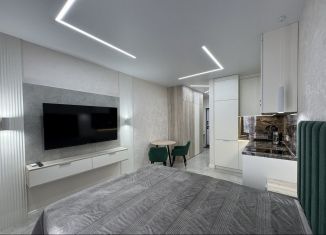 Квартира в аренду студия, 24 м2, Сочи, Ясногорская улица, 16/2к7, микрорайон Бытха