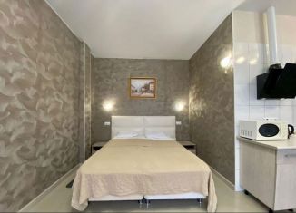 Сдаю в аренду 1-комнатную квартиру, 36 м2, Сириус, переулок Кувшинок, 7/1