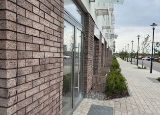 Продам помещение свободного назначения, 40.97 м2, Тюмень, улица Геннадия Райкова, 19