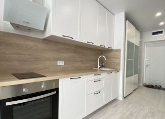 Квартира в аренду студия, 27 м2, Татарстан, улица Хасана Шайдуллина, 1