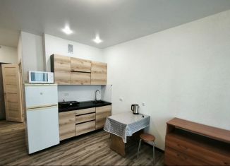 Сдаю в аренду квартиру студию, 27 м2, Обь, Октябрьская улица, 5