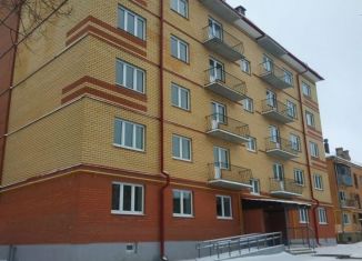 Продажа однокомнатной квартиры, 39.9 м2, Великие Луки, улица Лизы Чайкиной, 7