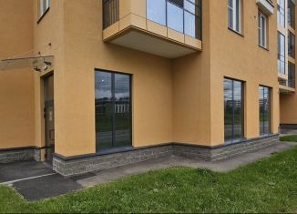 Помещение свободного назначения на продажу, 55 м2, посёлок Стрельна, проспект Будённого, 24к3