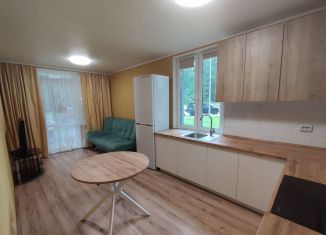 Четырехкомнатная квартира на продажу, 74.7 м2, Верхняя Пышма, улица Мальцева, 1, ЖК Рифей