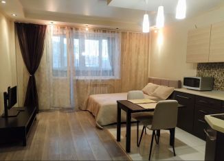 Сдаю в аренду квартиру студию, 30 м2, Новосибирск, Ленинский район, микрорайон Горский, 8А