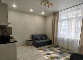 Сдам квартиру студию, 24.9 м2, Краснодар, улица им. Мурата Ахеджака, 10А, микрорайон Достояние