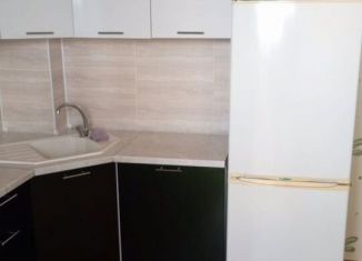 Сдача в аренду двухкомнатной квартиры, 61 м2, Республика Башкортостан, улица Николаева, 20