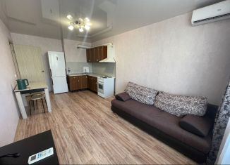 Продам квартиру студию, 25.1 м2, Ростов-на-Дону, переулок Андреева, ЖК Суворовский