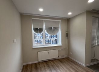 Квартира на продажу студия, 25 м2, Мурино, проспект Авиаторов Балтики, 25, ЖК Авиатор