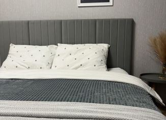 Сдам 2-комнатную квартиру, 68 м2, деревня Мокшино, Норильский бульвар, 6