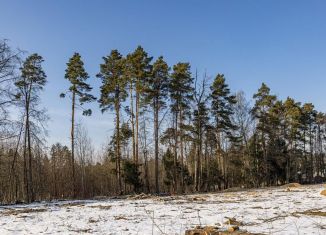 Продается участок, 50 сот., деревня Бородки