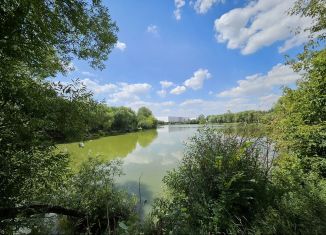 Продаю 1-комнатную квартиру, 43 м2, Котельники, 2-й Покровский проезд, 2