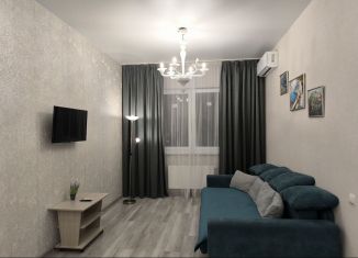 Сдам в аренду квартиру студию, 28 м2, Краснодар, Российская улица, 267к4, Музыкальный микрорайон