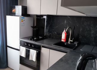 Сдача в аренду однокомнатной квартиры, 32 м2, Татарстан, проспект Ямашева, 17