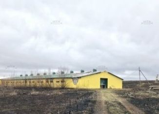 Продажа помещения свободного назначения, 1246 м2, деревня Нестеровка, Молодёжная улица, 11