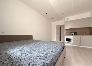 Сдача в аренду квартиры студии, 22.4 м2, Мурино, Ручьёвский проспект, 20