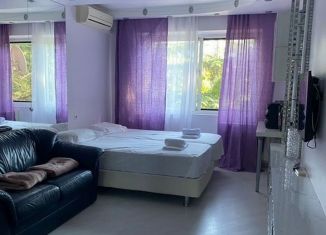 Сдаю в аренду 2-комнатную квартиру, 47 м2, Сочи, улица Революции, 15, микрорайон Черемушки