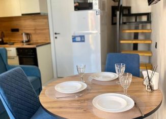 Сдаю 1-комнатную квартиру, 26 м2, Сочи, Крымская улица, 49, микрорайон Мамайка