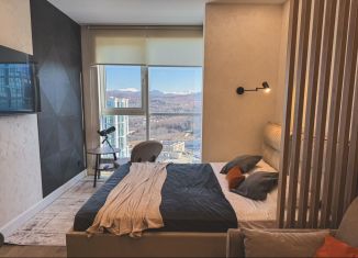 Сдам квартиру студию, 24.5 м2, Сочи, Ясногорская улица, 16/6к4, микрорайон Бытха