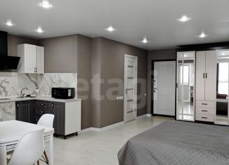 Сдам в аренду квартиру студию, 35.4 м2, Владимирская область, улица Машинистов, 14