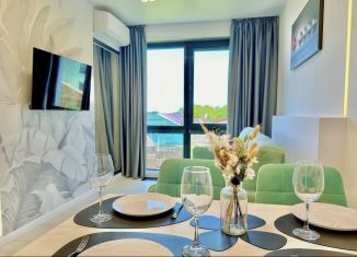 Сдача в аренду 2-комнатной квартиры, 45 м2, Сочи, Курортный проспект, 96Г, микрорайон Приморье